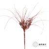 永生花 | 山茅草红色 商品缩略图1