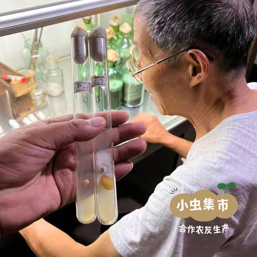 【2025年新耳】通江有机段木银耳 35g/罐 | 合作农友生产，产自四川通江，生产者：龙方荣、邹太贵等 ＆【公平贸易农人定价】 商品图6