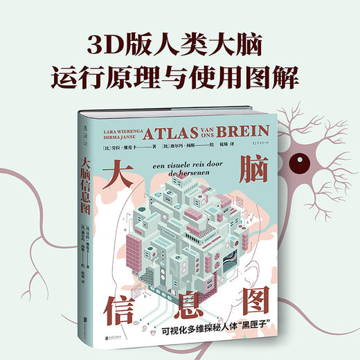 大脑信息图：3D版大脑运行原理!可视化多维探秘人体黑匣子!(［比］劳拉·维伦卡) 商品图0