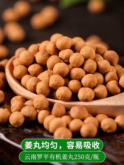 姜来无忧姜丸 两罐装 正宗云南有机小黄姜丸纯姜丸原始点姜丸姜粉生姜丸子 商品图1