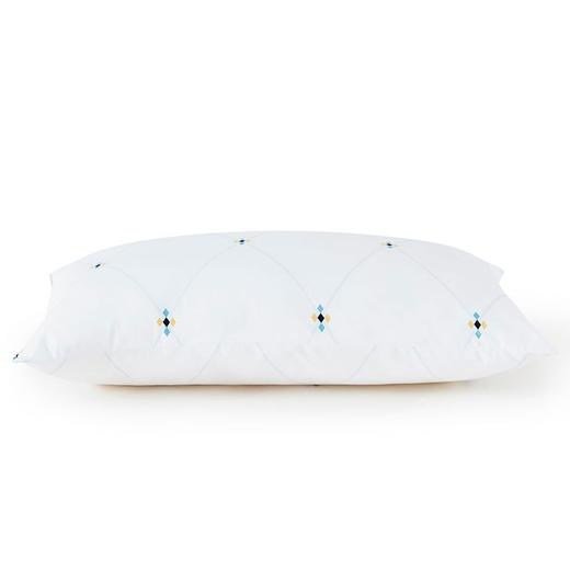 罗莱  依莎抗菌对枕47*73cm 商品图4