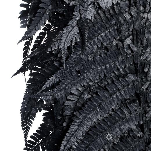 永生花材 | 大厥叶黑 商品图3