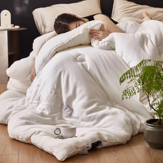 自然醒 SILVER HREAD A类莱赛尔抑菌被100天丝单人春秋被子双人加厚保暖冬季被芯母婴级LFS 商品图5