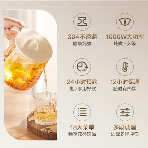 【小家电】苏泊尔.养身壶SW-15Y02 商品图2