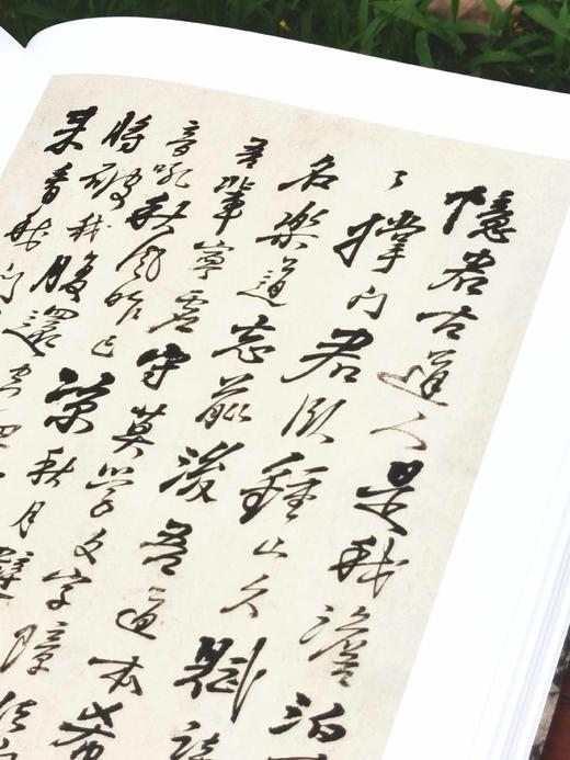 《艺术巨匠 石涛》，小8开，软精装，刘墨著，颂雅风出品，河北教育出版社2014年版，定价138，售价88元。 商品图13