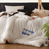 自然醒 AnTi  biosis A类控温抑菌被莫代尔整张防螨低敏纤维被单双人春秋被加厚保暖冬被芯LFS 商品缩略图10