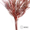 永生花 | 山茅草红色 商品缩略图2