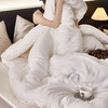 自然醒 SILVER HREAD A类莱赛尔抑菌被100天丝单人春秋被子双人加厚保暖冬季被芯母婴级LFS 商品缩略图8