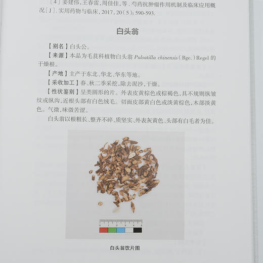 妇科肿瘤常用中药应用精析(朱滔) 商品图3