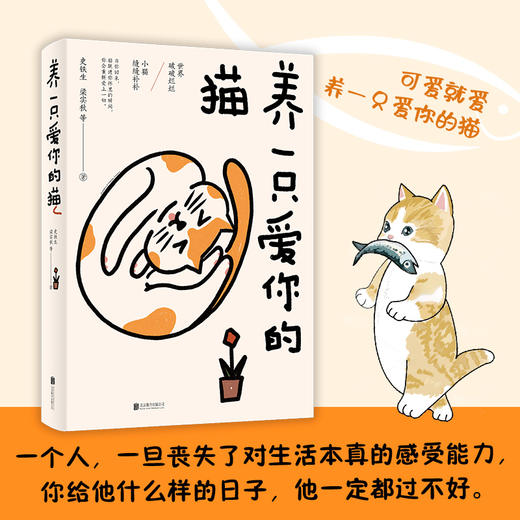 养一只爱你的猫（胡歌、刘亦菲等半个娱乐圈都是“猫奴”；“可爱就爱，用自己喜欢的方式，重新养育自己一遍”）(史铁生 梁实秋 等著  时代华语 出品) 商品图1