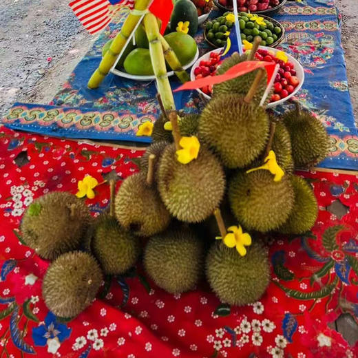 马来西亚 亚庇 水果园-榴莲园 半日游 商品图4