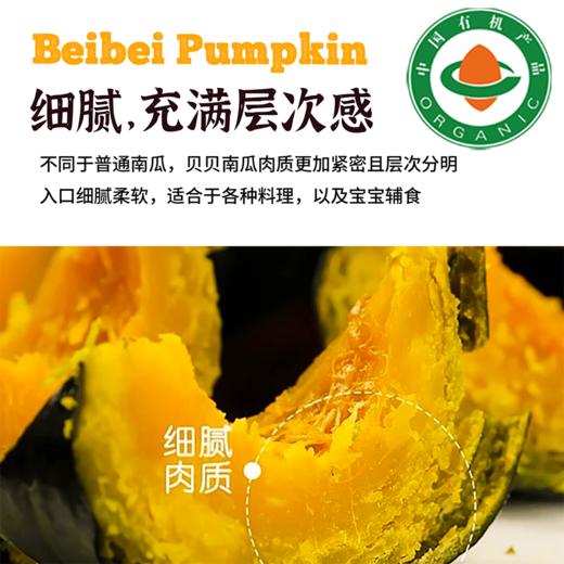 有机贝贝南瓜 商品图2