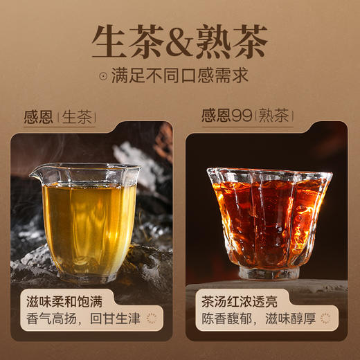 陈升号 2024年感恩357g（生茶） 商品图2