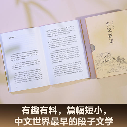世说新语（2024）中国人说话艺术的教科书。1130则故事完整收录，全文白话翻译，“百家讲坛”刘强教授解注，戴建业推荐 商品图1