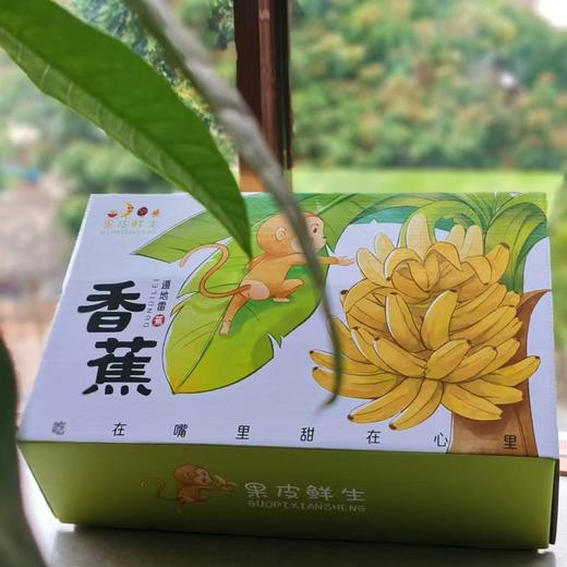 【果蔬精选】高州遁地雷香蕉 产区种植老品种 香味浓 软糯甜 一口下去整个口腔都是恰到好处的香甜软糯 商品图5