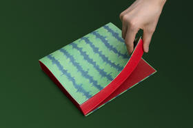 Cao Zai Fei  曹再飞