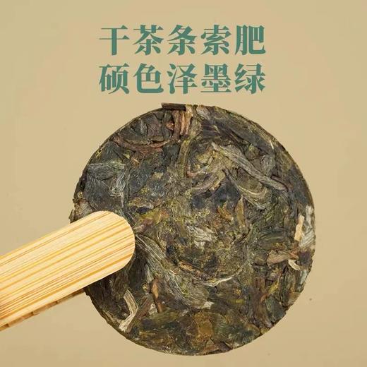 德丰昌 | 24年大雪山小圆饼 生茶 熟茶120g/盒 商品图3