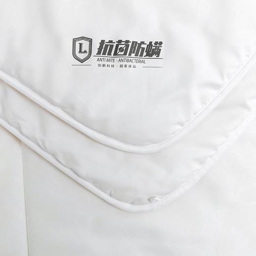 罗莱  大豆防螨抗菌柔丝冬被Ⅱ200*230cm 商品图4