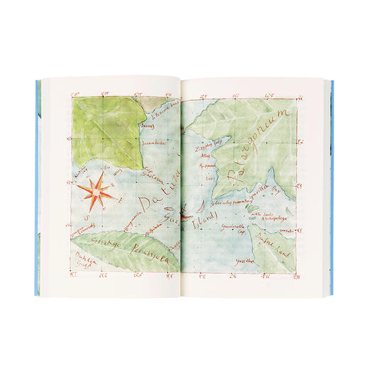 《它们没有脚，但足迹遍天下：不可思议的植物扩张史》植物智能 商品图1