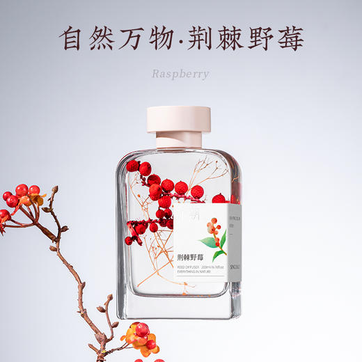 宋朝|自然万物系列升级版无火香薰    拍2得送礼袋*1、小蜡烛*1    卧室家用室内持久精油香氛藤条用品 商品图4