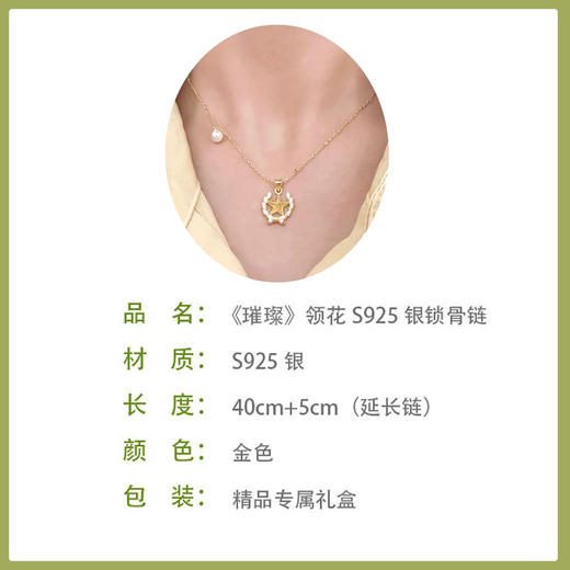 《璀璨》领花S925银锁骨链 目之所及皆是你  惊艳了时光  甜美了回忆 商品图4