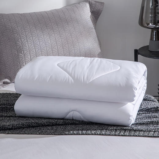 罗莱  七孔云柔四季被200*230cm 商品图1