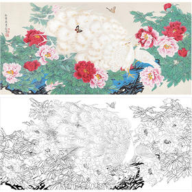 周彦生花鸟工笔画白描底稿《白孔雀》横幅临摹勾线高清打印稿A673