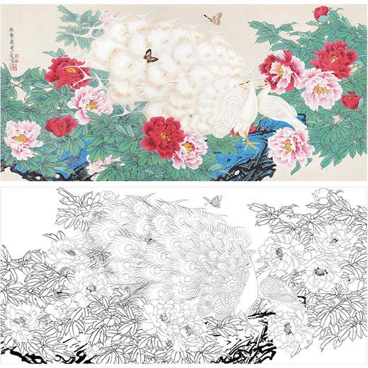 周彦生花鸟工笔画白描底稿《白孔雀》横幅临摹勾线高清打印稿A673 商品图0