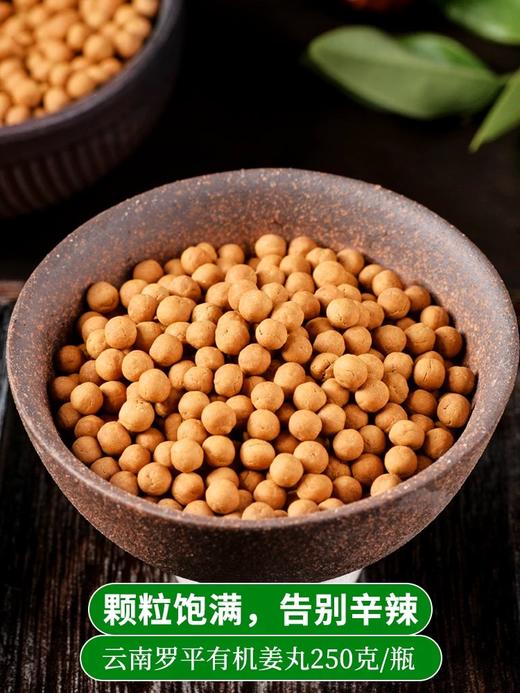 姜来无忧姜丸 两罐装 正宗云南有机小黄姜丸纯姜丸原始点姜丸姜粉生姜丸子 商品图2