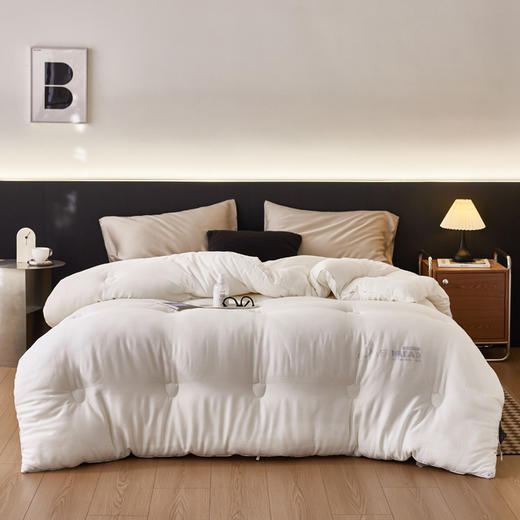 自然醒 SILVER HREAD A类莱赛尔抑菌被100天丝单人春秋被子双人加厚保暖冬季被芯母婴级LFS 商品图1