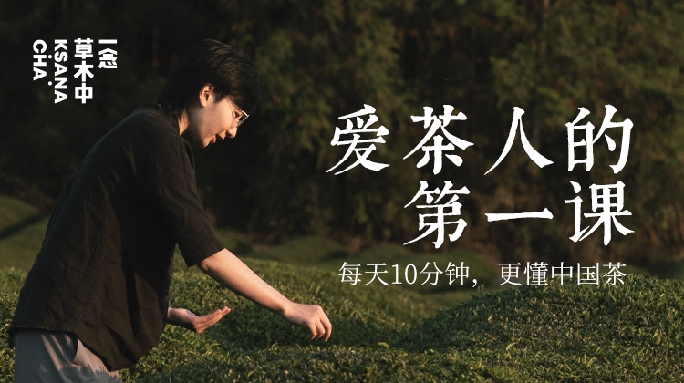 爱茶人的第一课