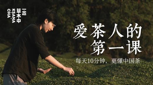 爱茶人的第一课 商品图0