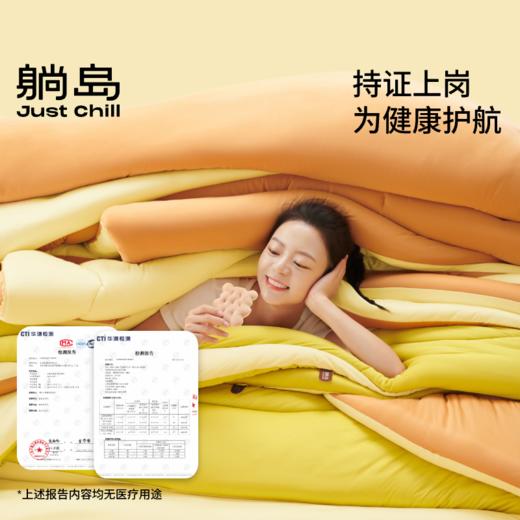 躺岛黄油小熊被2.0春秋款加厚款冬春秋冬被芯 商品图2