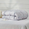 罗莱  A类阻螨雪域鹅绒被200*230cm 商品缩略图4
