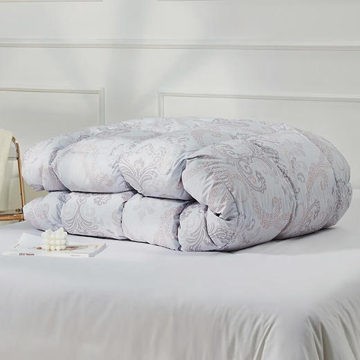 罗莱  A类阻螨雪域鹅绒被200*230cm 商品图4