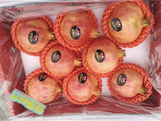 产地红箱石榴一箱 商品图4