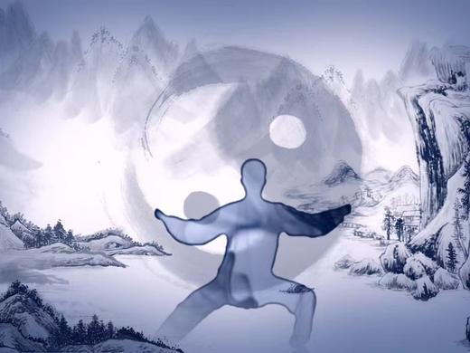 基础古武活桩功 04掌定分阴阳 商品图0