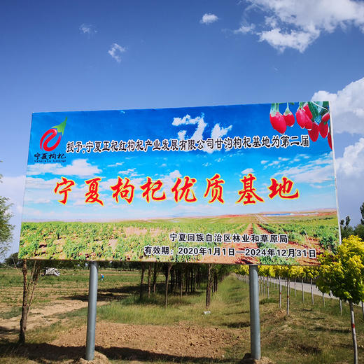 【宁夏】红枸杞特级袋装252g 商品图5