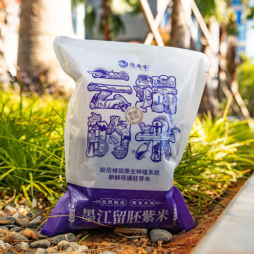 云南墨江留胚紫米丨均为新米，5斤紫米送1斤碎紫米，另有紫米礼盒装 商品图6