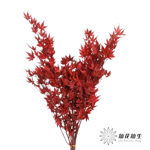 永生花 | 枫叶红 商品图1