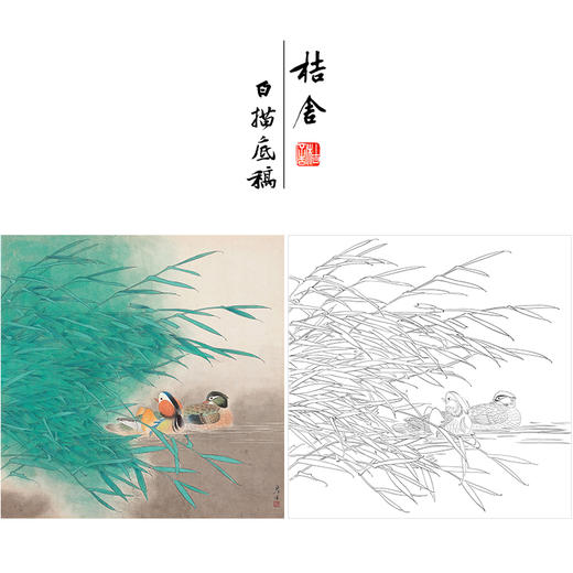 周彦生花鸟工笔画白描底稿《戏水鸳鸯》四尺斗方临摹勾线高清打印稿A669 商品图0