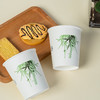 新老包装随机发馨宜优品竹纤维一次性纸杯40个（220794） 商品缩略图1