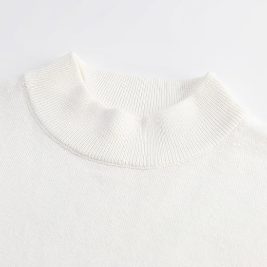 【断码清仓】HX秋冬季中领毛衫亲肤舒适S107340157101/02 商品图4