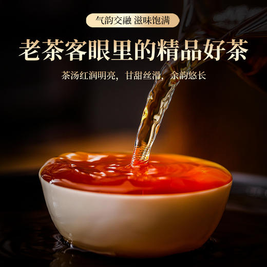 苁蓉陈皮普洱茶熟茶高品质云南普洱内蒙古肉苁蓉新会陈皮茶礼盒装 240克 商品图3