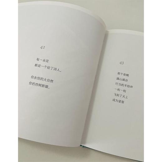 纯粹·我在所有的秘密里爱你(蓝蓝) 商品图1