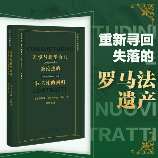 习惯与新型合同：兼论法的技艺性的回归(菲利波 加洛 著) 商品图0