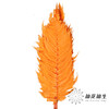 永生花材 | 大厥叶橙 商品缩略图1