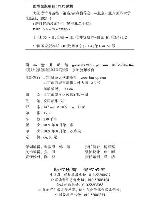 大阅读学习路径与策略 汤丰林 9787303298167 新时代的教师学习 北京师范大学出版社 正版书籍 商品图3