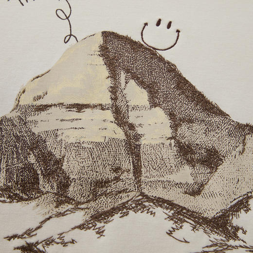 谜底厚款T恤短袖女士2024冬季新品百搭宽松绣花圆领上衣244MT1659 商品图3