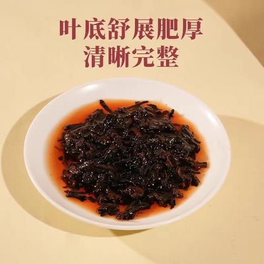 德丰昌 | 24年大雪山小圆饼 生茶 熟茶120g/盒 商品图9